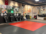 Roger Gracie Jiu Jitsu Istanbul thumb 6
